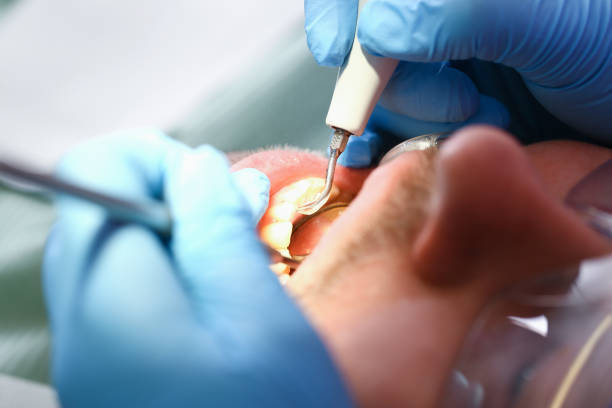 Best Emergency Pediatric Dental Care in Brookville, OH